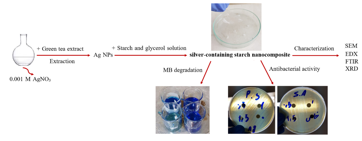 Preparation of silver-containing starch nanocomposite prepared from green synthesis with green tea plant extract and investigation of dye degradation and antibacterial activity 